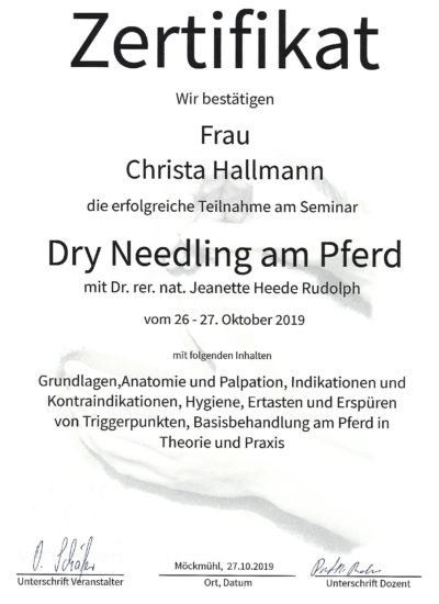 Dry Needling Zeugnis Dry Needling Zeugnis